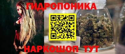 стаф Кулебаки