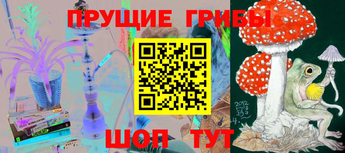 Галлюциногенные грибы GOLDEN TEACHER Кольчугино