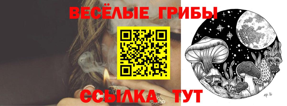 купить   Галлюциногенные грибы Psilocybine cubensis  Вход с VPN  Кольчугино 